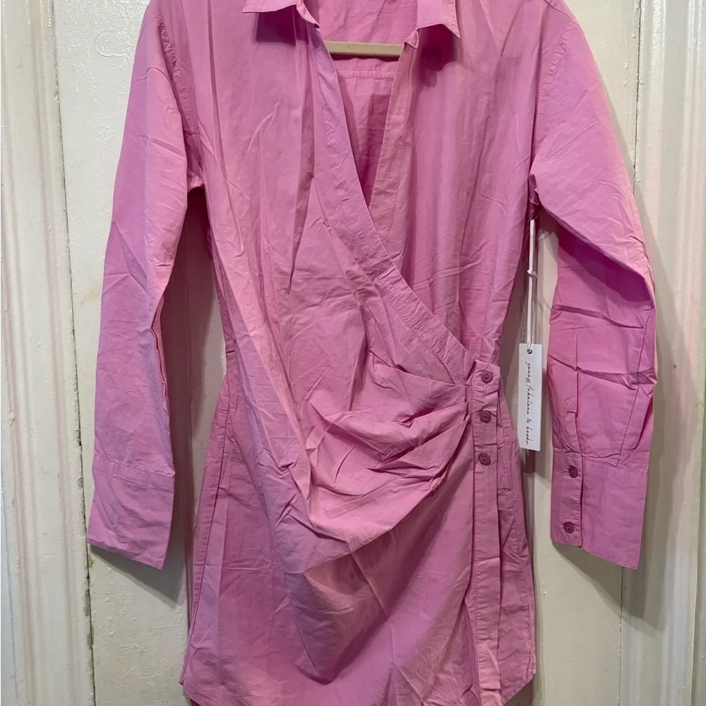 Young Fabulous & Broke Pink Button-Up Dress